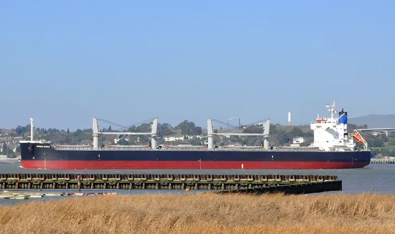 NEW SPIRIT Bulk Carrier IMO 9425801 photo 8