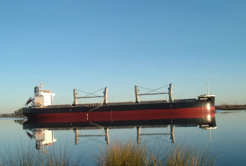 NEW SPIRIT Bulk Carrier IMO 9425801 photo 9