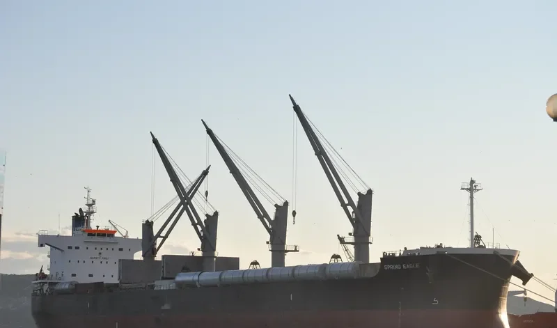 NEW SPIRIT Bulk Carrier IMO 9425801 photo 10
