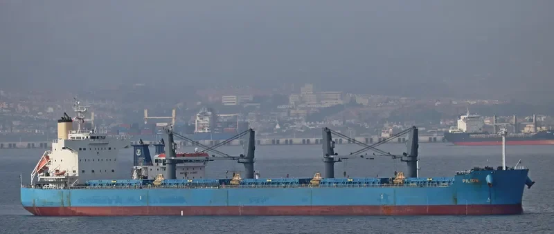 PILION Bulk Carrier IMO 9425825