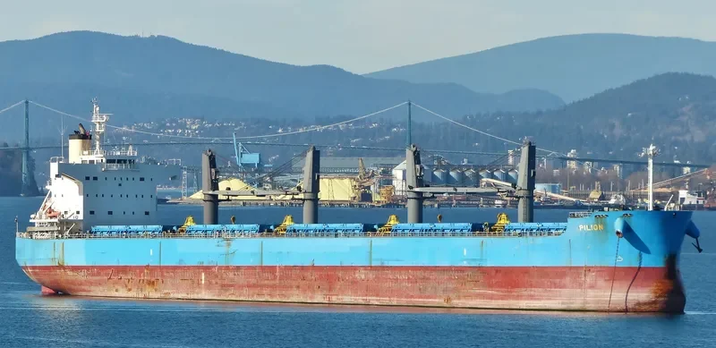 PILION Bulk Carrier IMO 9425825 photo 2