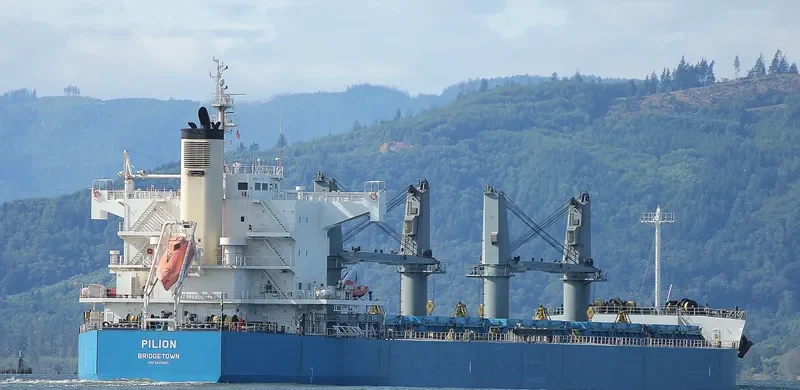 PILION Bulk Carrier IMO 9425825 photo 3