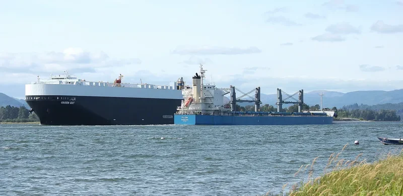 PILION Bulk Carrier IMO 9425825 photo 4