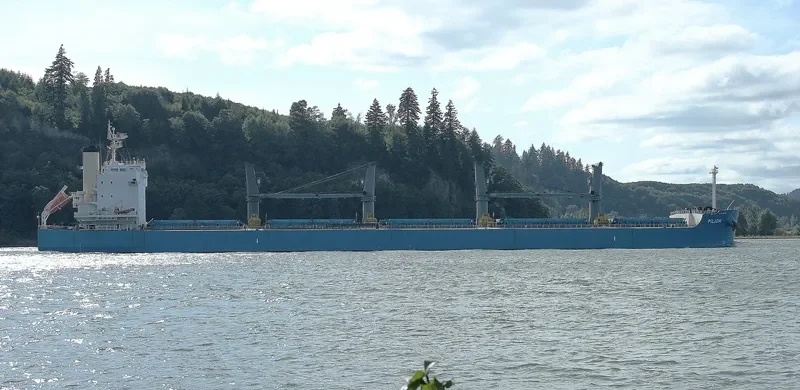 PILION Bulk Carrier IMO 9425825 photo 5