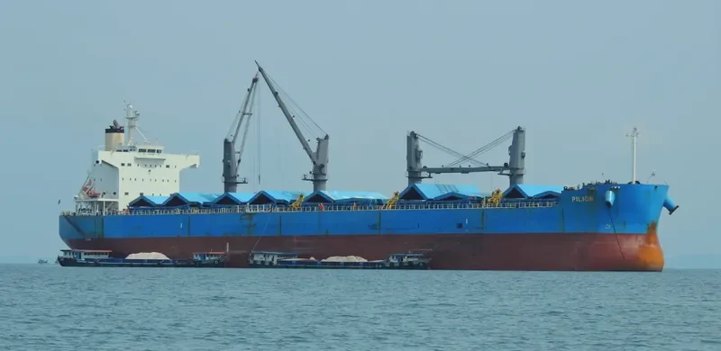 PILION Bulk Carrier IMO 9425825 photo 9