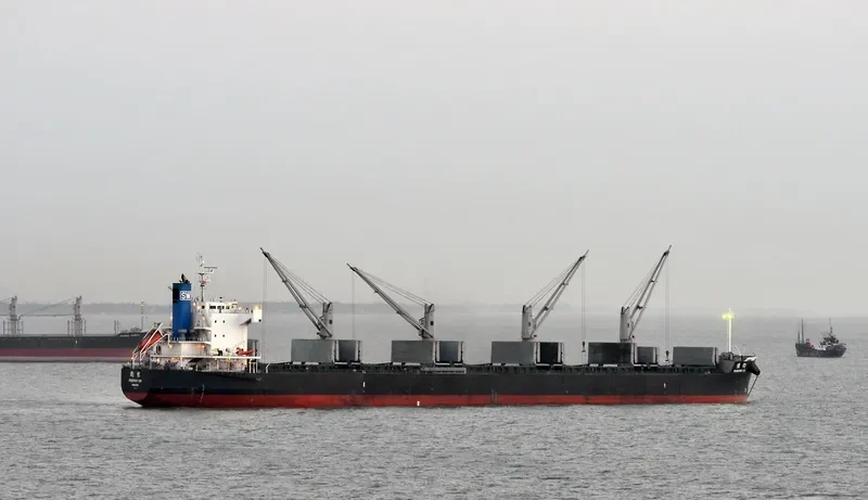 FOREVER SW Bulk Carrier IMO 9425837 photo 2