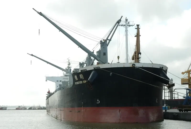 FOREVER SW Bulk Carrier IMO 9425837 photo 3