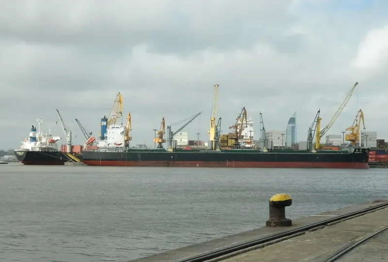 FOREVER SW Bulk Carrier IMO 9425837 photo 4
