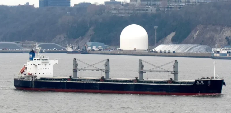 FOREVER SW Bulk Carrier IMO 9425837 photo 8