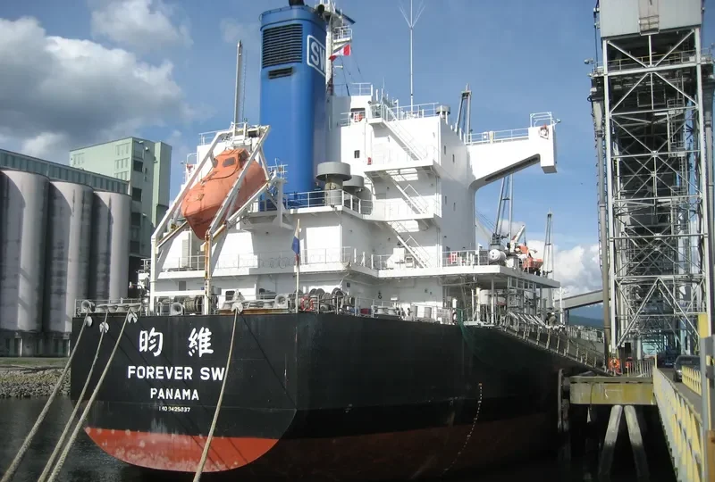 FOREVER SW Bulk Carrier IMO 9425837 photo 9