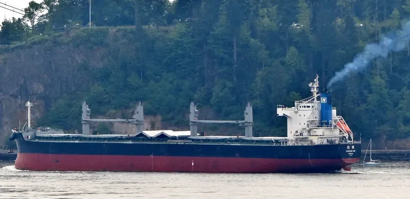 FOREVER SW Bulk Carrier IMO 9425837 photo 10
