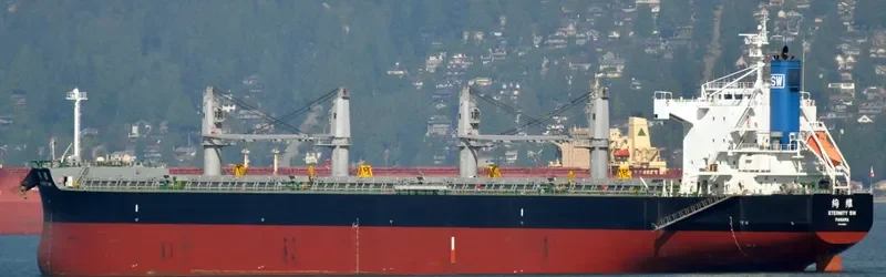 ETERNITY SW Bulk Carrier IMO 9425851 photo 7