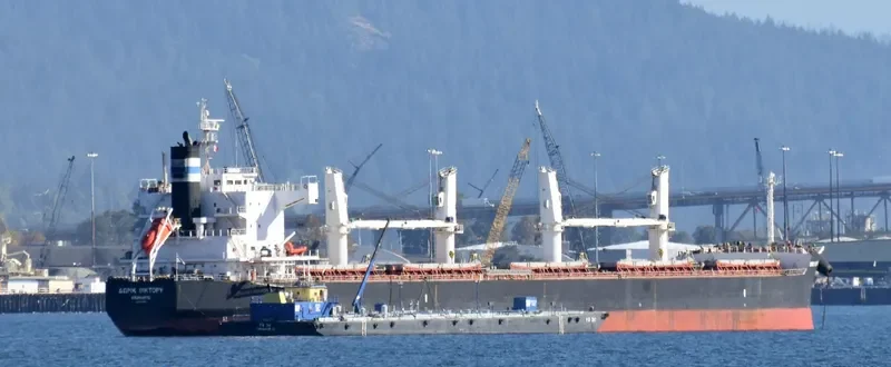 DORIC VICTORY Bulk Carrier IMO 9425887 photo 2
