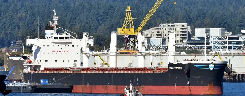 DORIC VICTORY Bulk Carrier IMO 9425887 photo 3