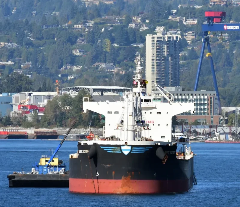 DORIC VICTORY Bulk Carrier IMO 9425887 photo 4