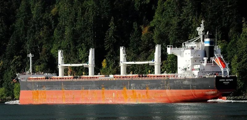 DORIC VICTORY Bulk Carrier IMO 9425887 photo 5