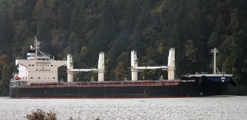DORIC VICTORY Bulk Carrier IMO 9425887 photo 8