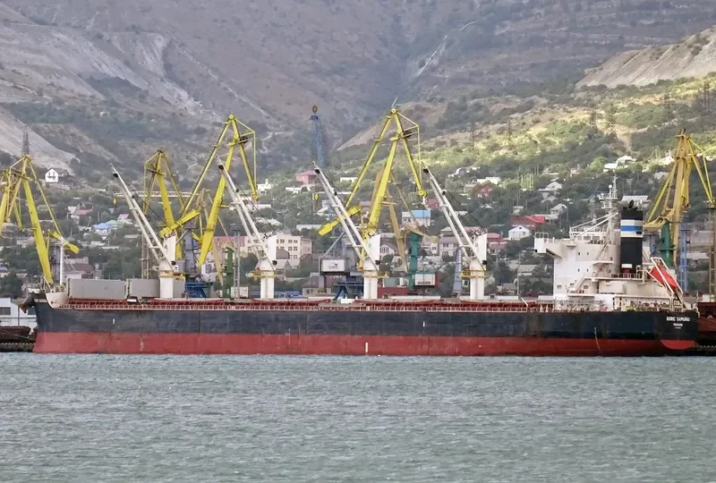 ROYAL SAMURAI Bulk Carrier IMO 9425899