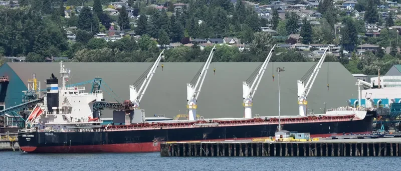 ROYAL SAMURAI Bulk Carrier IMO 9425899 photo 4