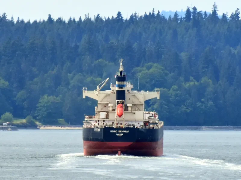 ROYAL SAMURAI Bulk Carrier IMO 9425899 photo 5