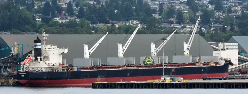 ROYAL SAMURAI Bulk Carrier IMO 9425899 photo 7