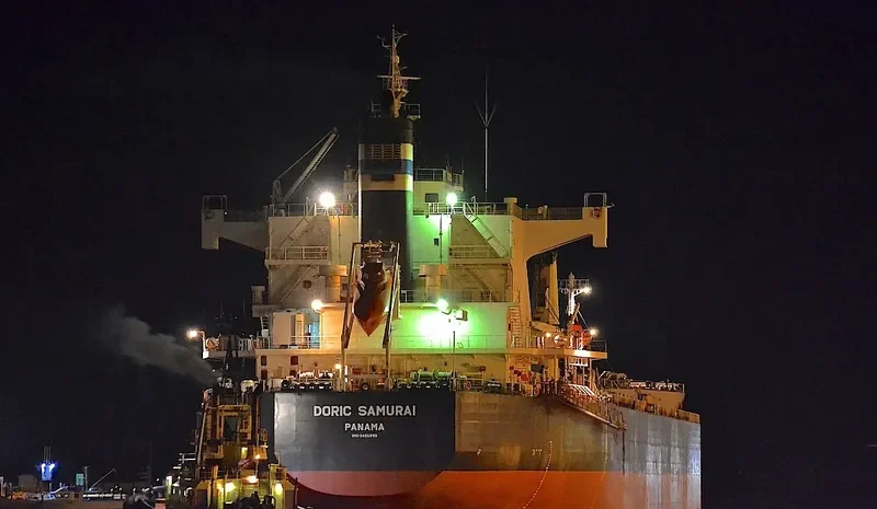 ROYAL SAMURAI Bulk Carrier IMO 9425899 photo 9