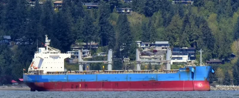 MARO K Bulk Carrier IMO 9425904 photo 2