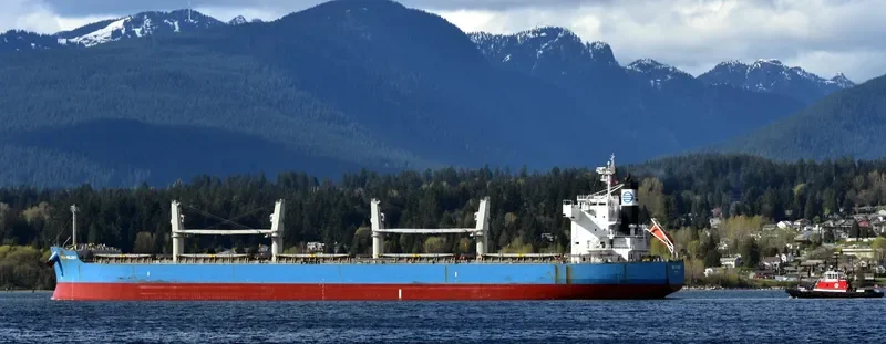 MARO K Bulk Carrier IMO 9425904 photo 4
