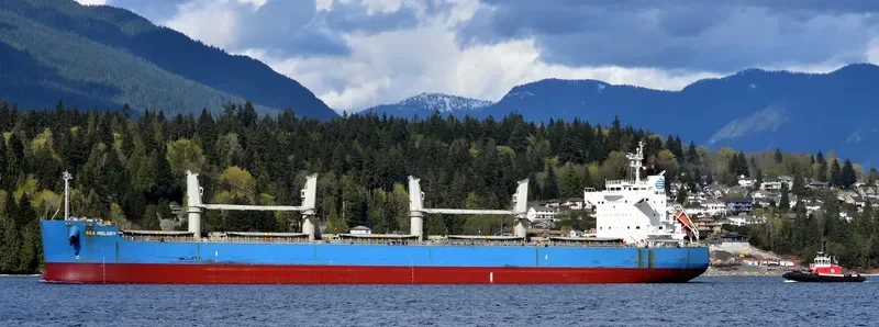 MARO K Bulk Carrier IMO 9425904 photo 5