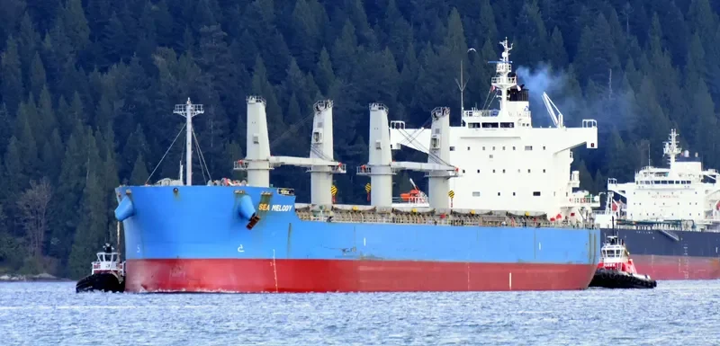 MARO K Bulk Carrier IMO 9425904 photo 6