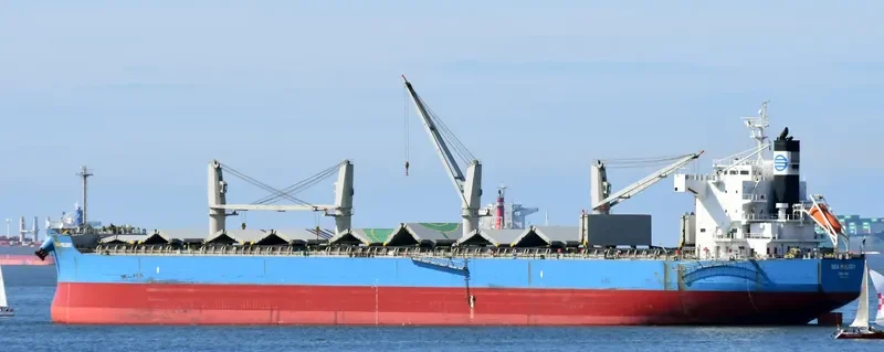 MARO K Bulk Carrier IMO 9425904 photo 7