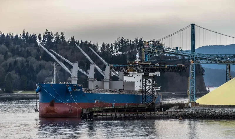 C LION Bulk Carrier IMO 9425916