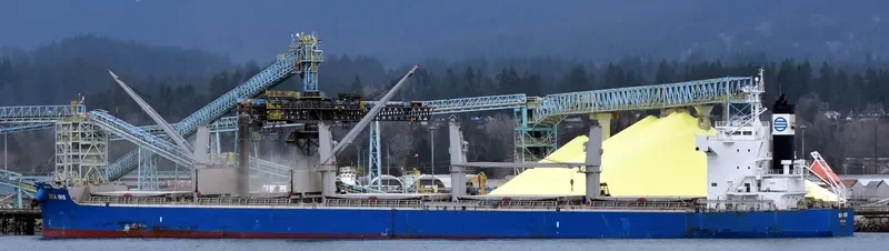 C LION Bulk Carrier IMO 9425916 photo 2
