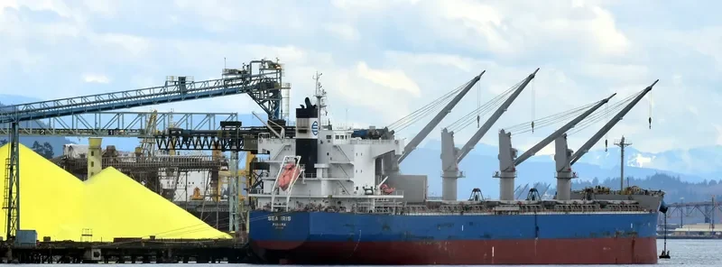C LION Bulk Carrier IMO 9425916 photo 4
