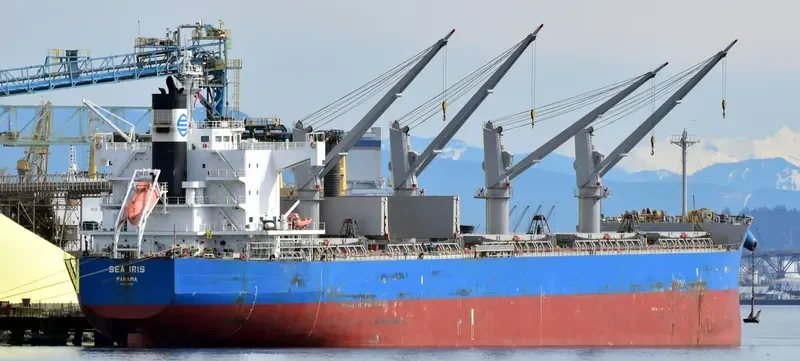 C LION Bulk Carrier IMO 9425916 photo 5