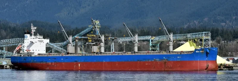 C LION Bulk Carrier IMO 9425916 photo 6