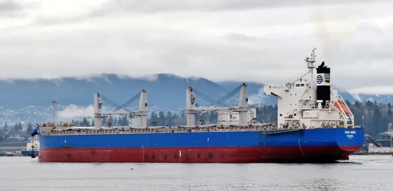 C LION Bulk Carrier IMO 9425916 photo 7