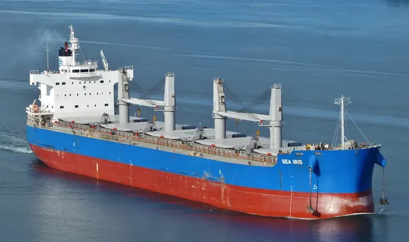 C LION Bulk Carrier IMO 9425916 photo 8