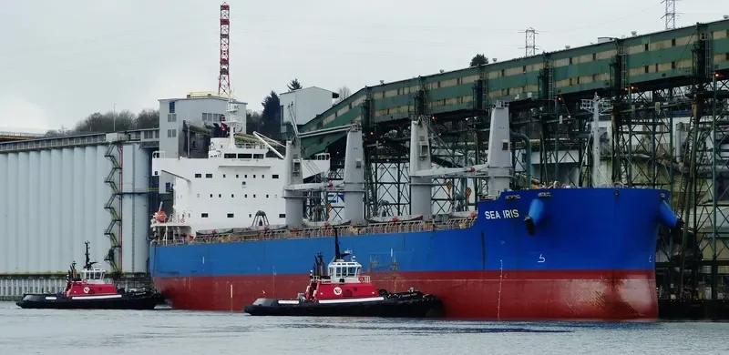 C LION Bulk Carrier IMO 9425916 photo 10