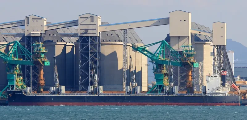 QUEEN Bulk Carrier IMO 9425928