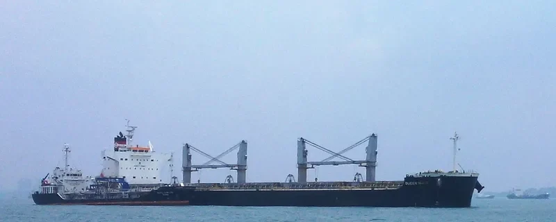 QUEEN Bulk Carrier IMO 9425928 photo 3
