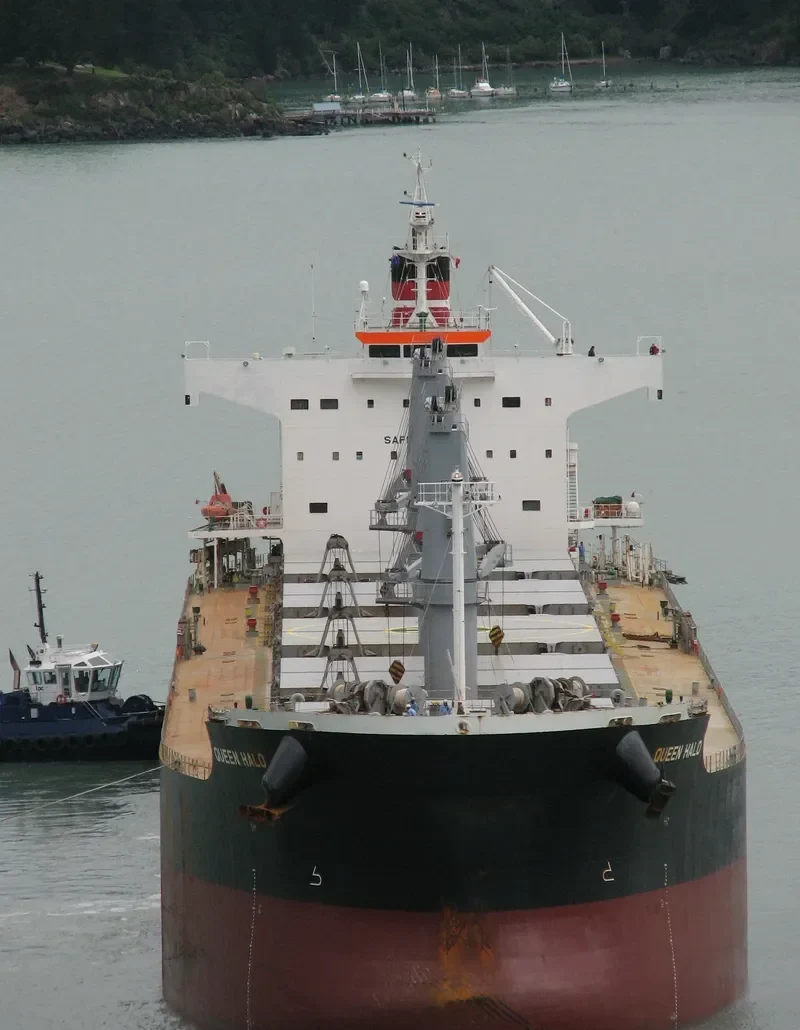 QUEEN Bulk Carrier IMO 9425928 photo 5