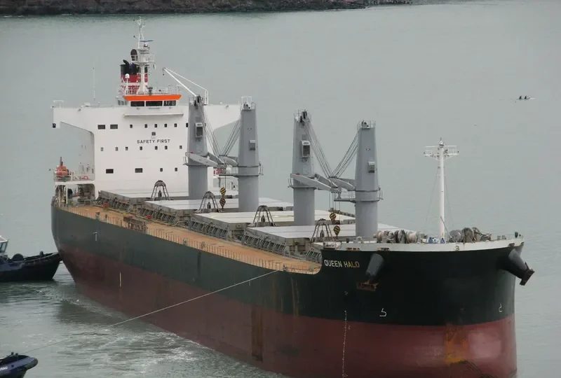 QUEEN Bulk Carrier IMO 9425928 photo 6