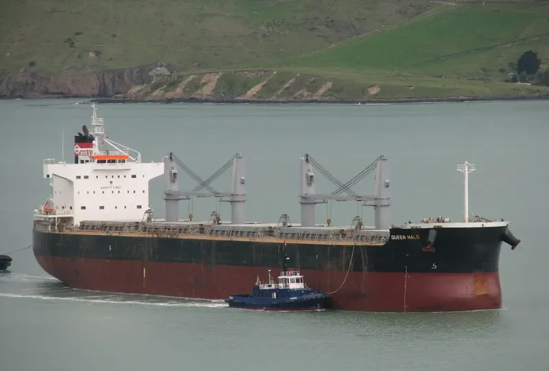 QUEEN Bulk Carrier IMO 9425928 photo 7