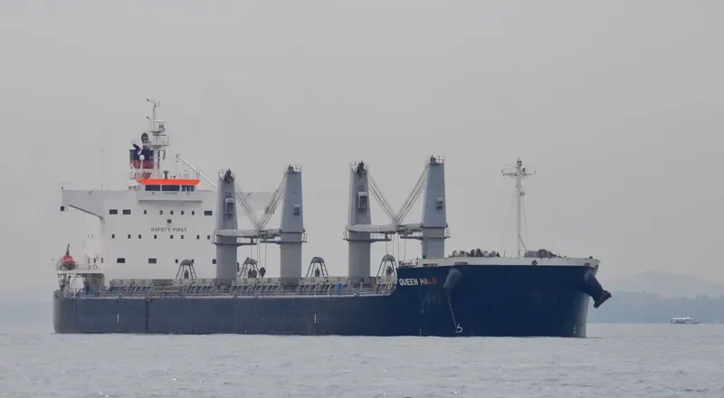 QUEEN Bulk Carrier IMO 9425928 photo 8