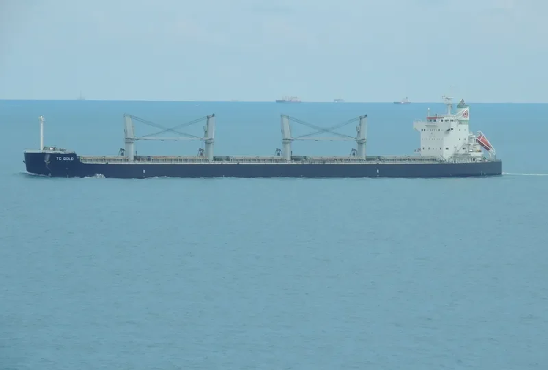 TRADE Bulk Carrier IMO 9425942