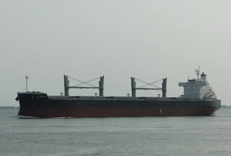TRADE Bulk Carrier IMO 9425942 photo 2