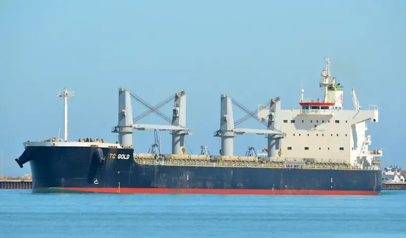 TRADE Bulk Carrier IMO 9425942 photo 3