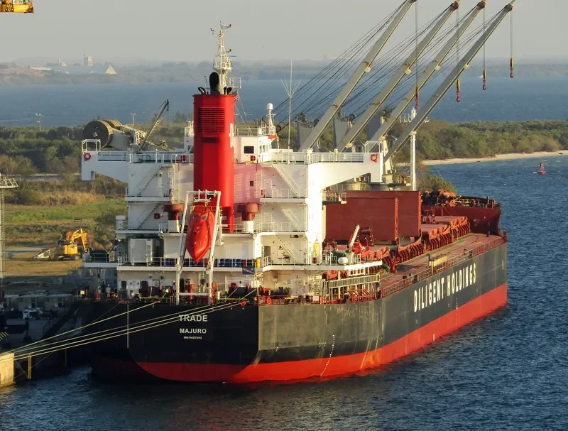 TRADE Bulk Carrier IMO 9425942 photo 5