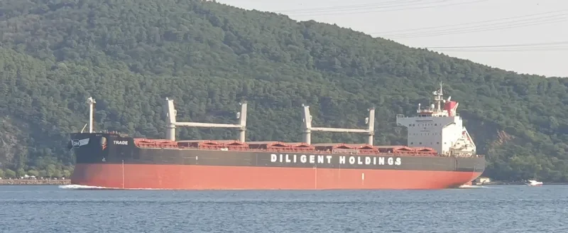 TRADE Bulk Carrier IMO 9425942 photo 8